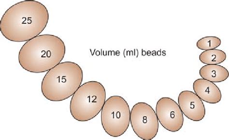 prader orchidometer buy|normal testicular volume by age.